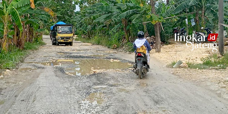 Anggaran Dipotong 12 M untuk IKN, Perbaikan Jalan Sukolilo-Prawoto Terancam Tak Maksimal