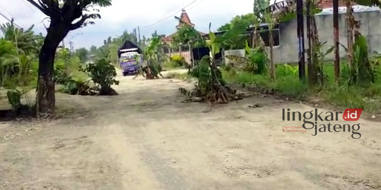 Tanda Protes, Jalan Berlubang di Kradenan Blora Ditanami Pohon Pisang